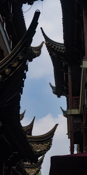 Shanghai Rooflines