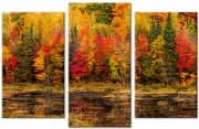 Autumn Colours Triptych